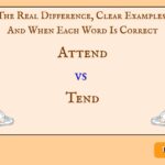 Attend vs Tend