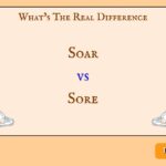 Soar vs. Sore