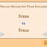 Steer vs Stear