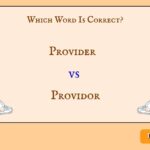 Provider vs Providor